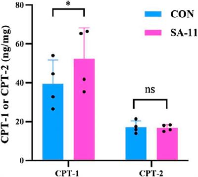 Stemona alkaloid derivative induce ferroptosis of colorectal cancer cell by mediating carnitine palmitoyltransferase 1